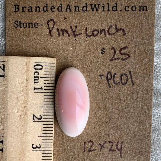 Pink Conch Cabochon - PC01