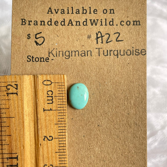 Kingman Turquoise Cabochon - KT22 CDDB5071-669C-429B-8D00-9D7106FA4970 Brandedandwild.com