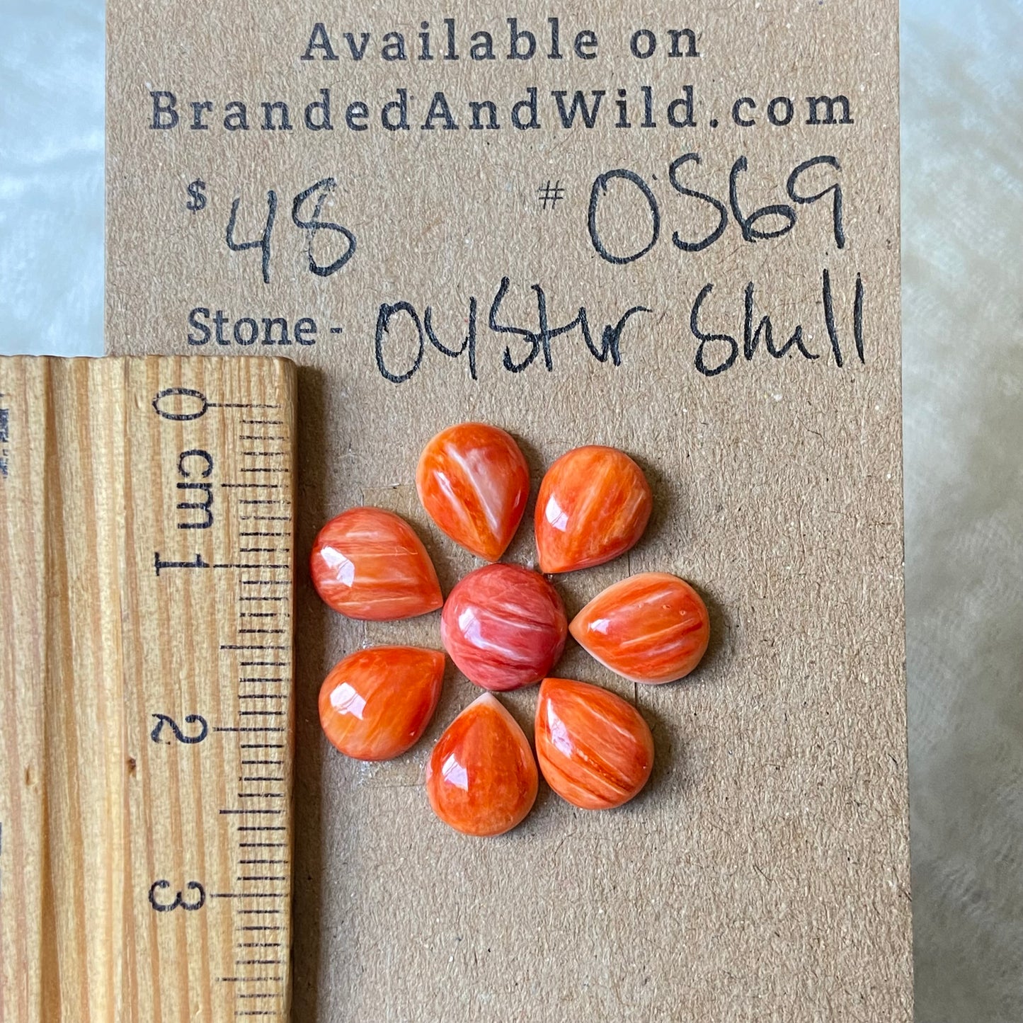Oystershell Cabochon - OS69 CDE44A96-3E0F-48B5-8BD8-FD6B2FDF9E4F Brandedandwild.com