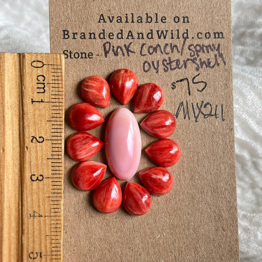 Oyster Shell / Pink Conch Cabochon - Mix211 CE1C79A7-96C5-422D-8DBF-DDA0970DAAA5 Brandedandwild.com