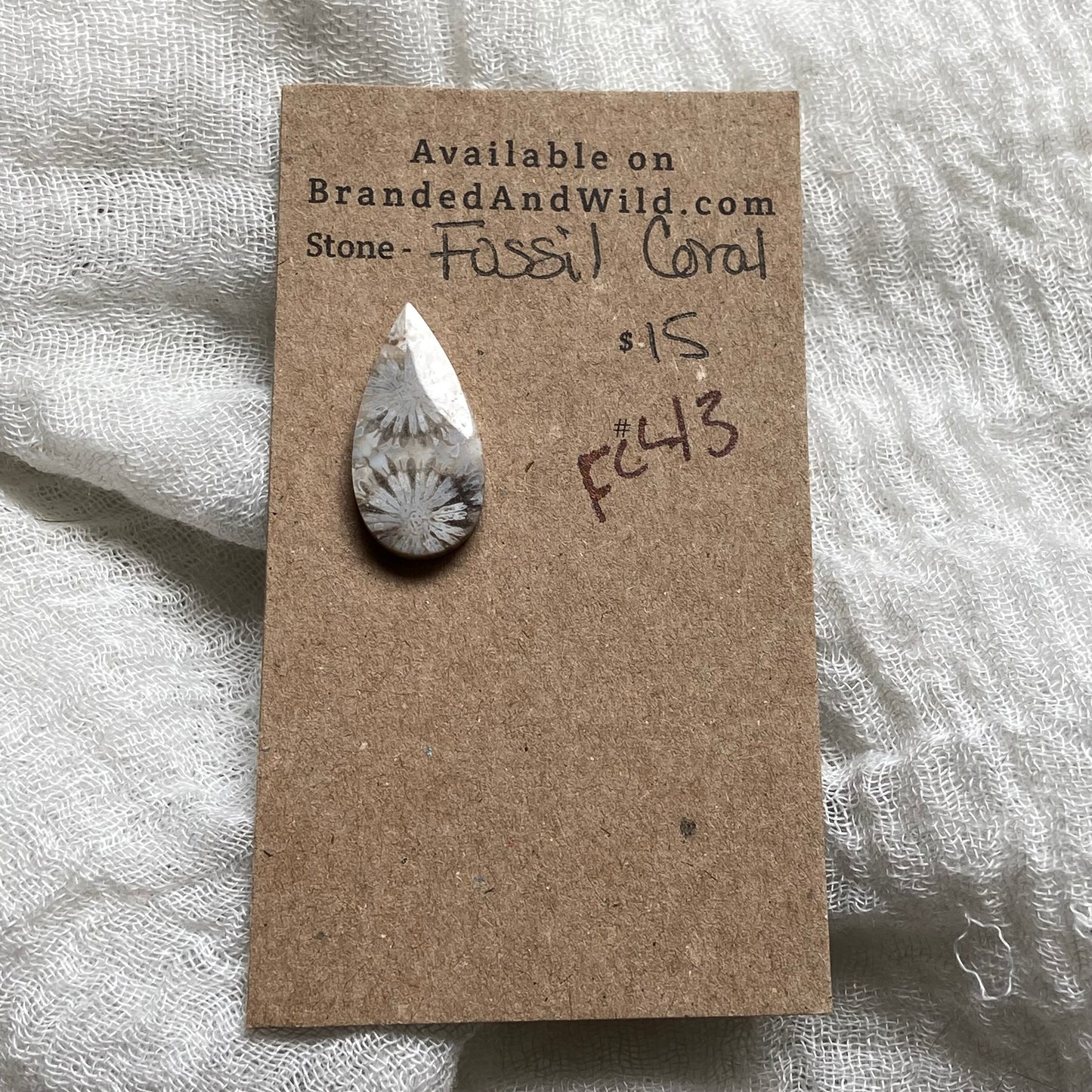Fossil Coral Cabochon - FC43