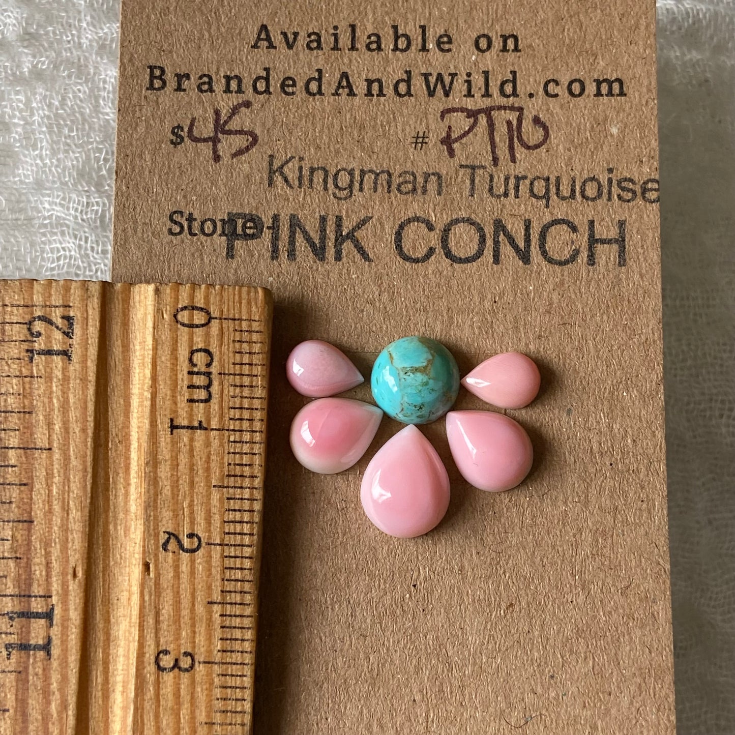 Pink Conch / Kingman Turquoise Cabochon - PT10