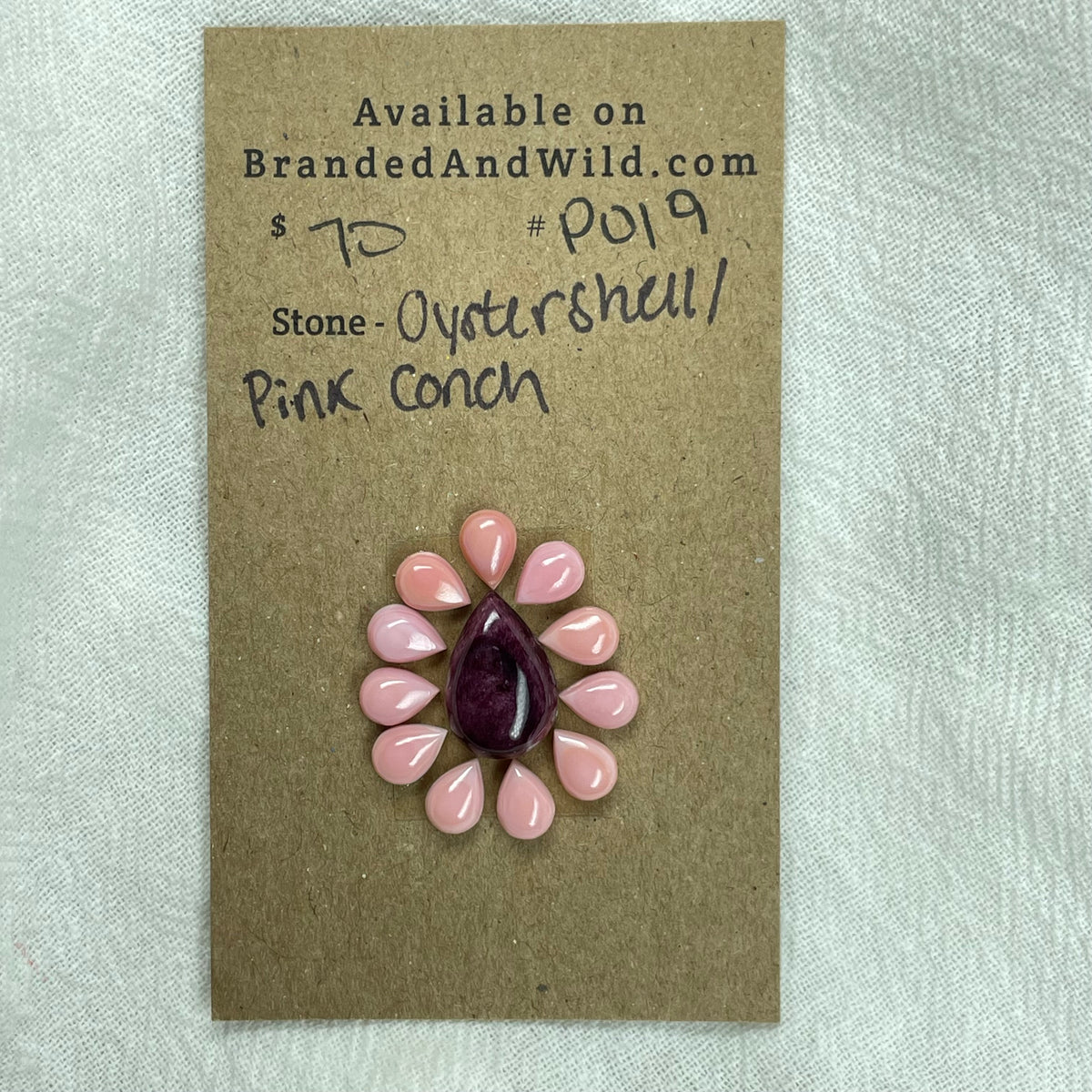 Pink Conch / Oyster Shell Cabochon - PO19 CE530BBE-C098-4F2F-BD36-9597B22A30CF Brandedandwild.com