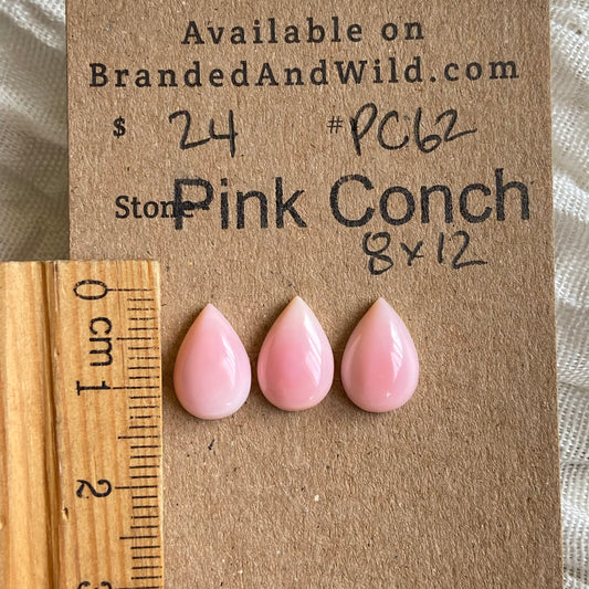 Pink Conch Cabochon - PC62 CE5F358C-6C3C-459F-A8A0-6703D2719AF7 Brandedandwild.com