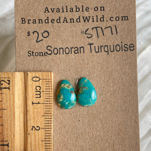 Sonoran Turquoise Cabochon - ST171 CE8CE755-1DE0-438C-9900-ACF2B5F9BA99 Brandedandwild.com