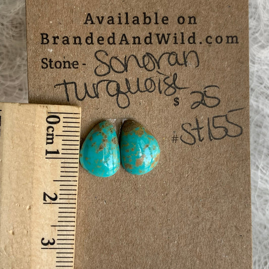 Sonoran Turquoise Cabochon - ST155