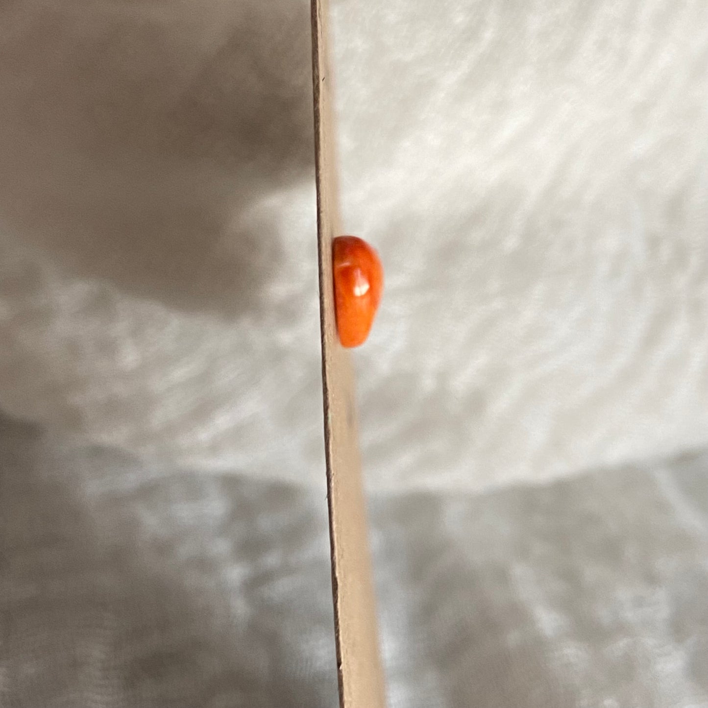 Oystershell Cabochon - OS05