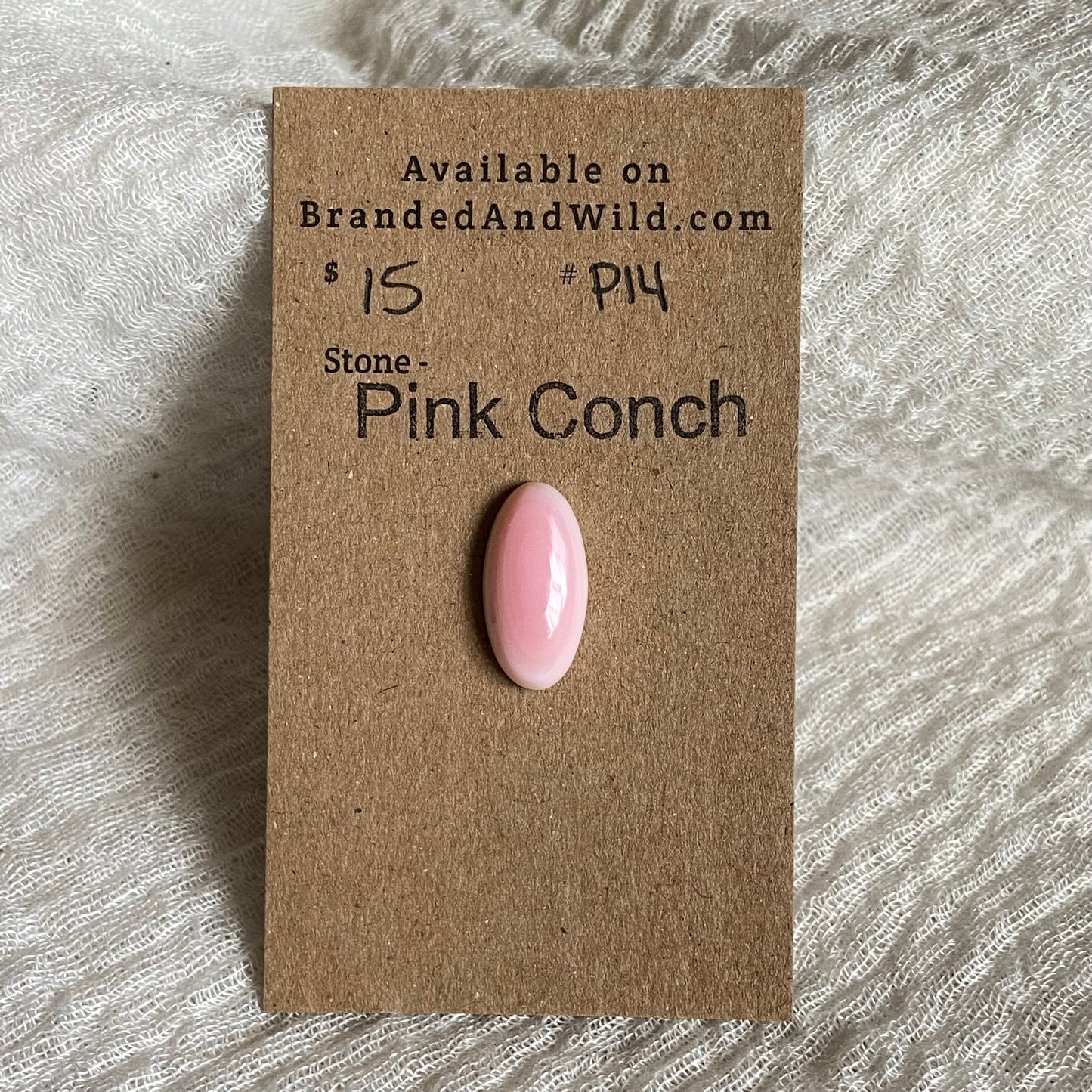 Pink Conch Cabochon - P14 CF07EC10-1C82-4205-9DF3-76838E7E3889 Brandedandwild.com