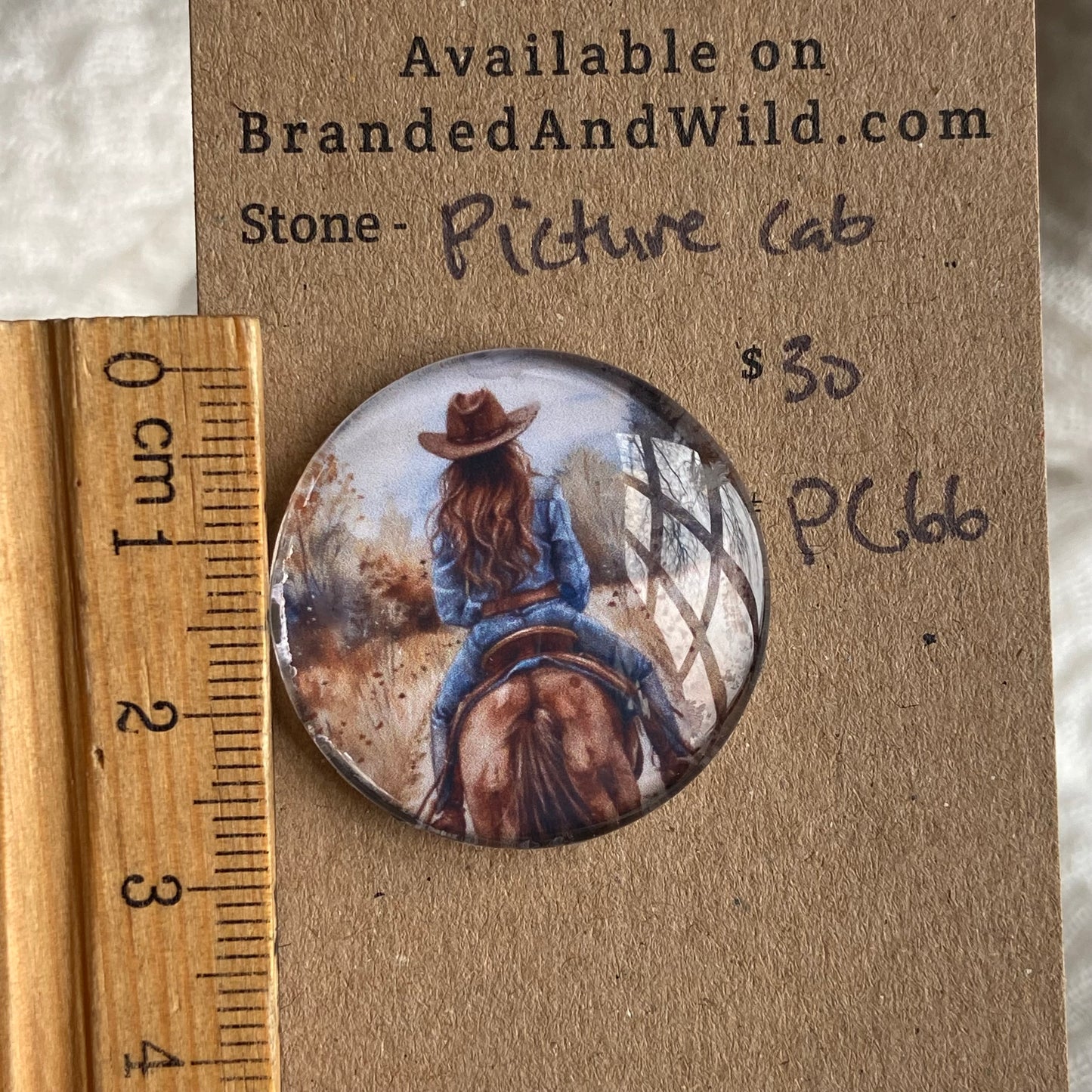 Picture Cabochon - Cabochon - PC66 CF0B74B0-8B42-4DF2-BA4E-F292C4AE5465 Brandedandwild.com