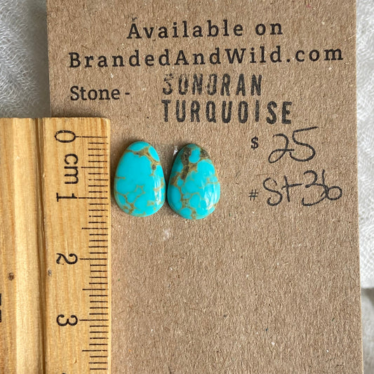 Sonoran Turquoise Cabochon - ST36