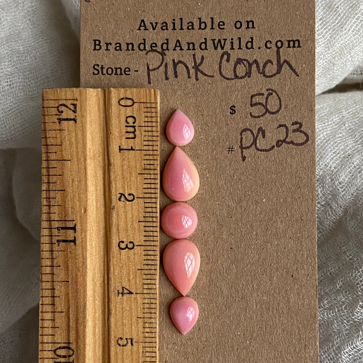 Pink Conch Cabochon - PC23