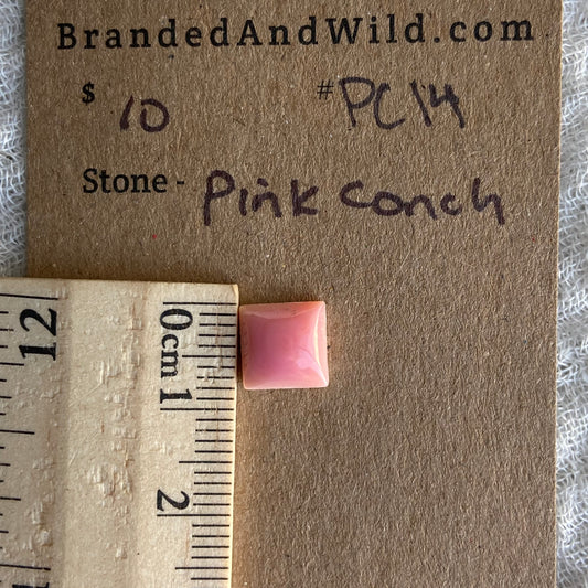 Pink Conch Cabochon - PC14