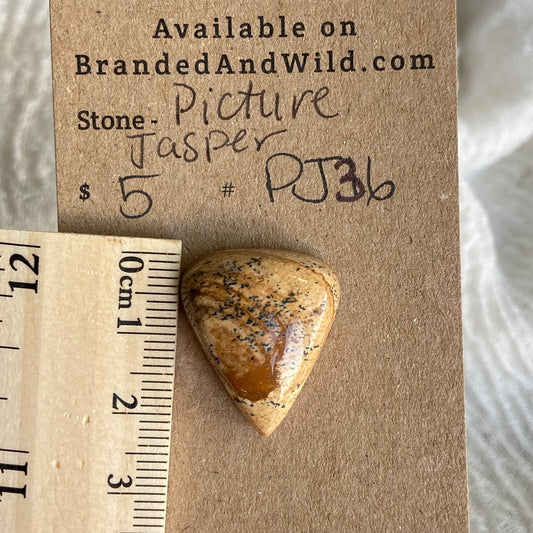 Picture Jasper Cabochon - PJ36