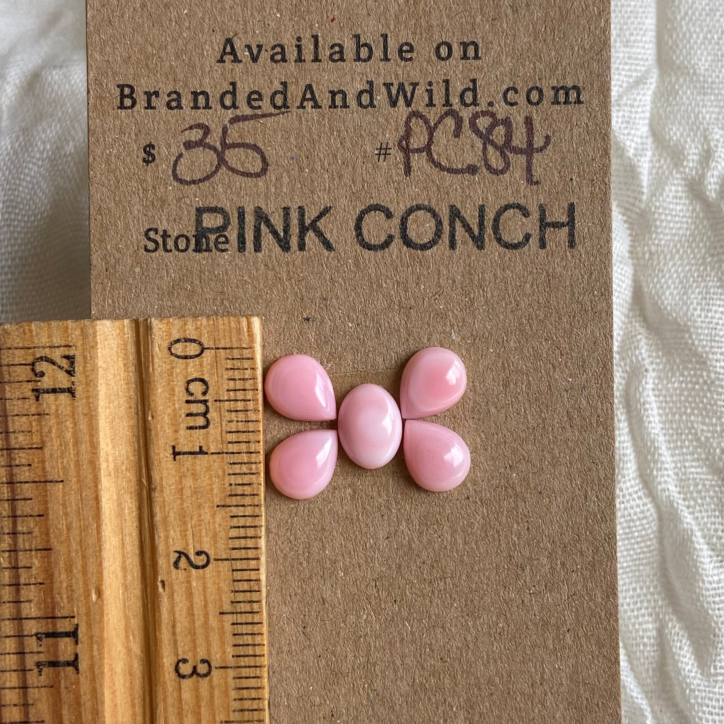 Pink Conch Cabochon - PC84 CF46A53E-D5B3-41AC-8669-F70518202163 Brandedandwild.com