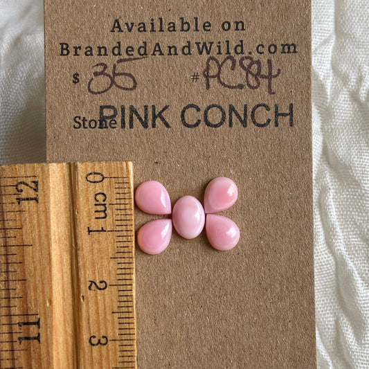 Pink Conch Cabochon - PC84 CF46A53E-D5B3-41AC-8669-F70518202163 Brandedandwild.com