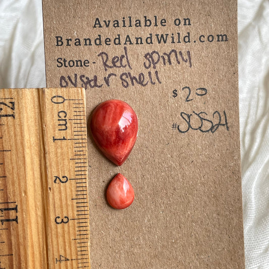 Spiny Oyster Shell Cabochon - SOS21 CF620FD7-48BF-4ED1-A59F-68810074E88C Brandedandwild.com