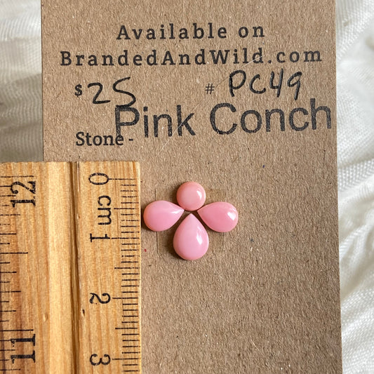 Pink Conch Cabochon - PC49 CF639C04-532A-41B4-9D2C-BAC5DD7A17D9 Brandedandwild.com