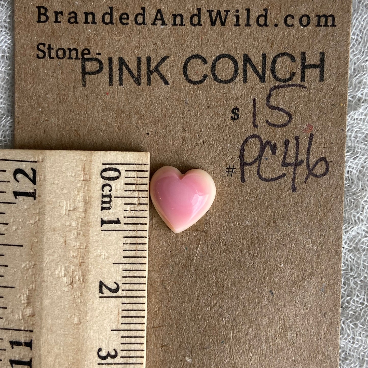 Pink Conch Cabochon - PC46
