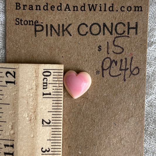Pink Conch Cabochon - PC46