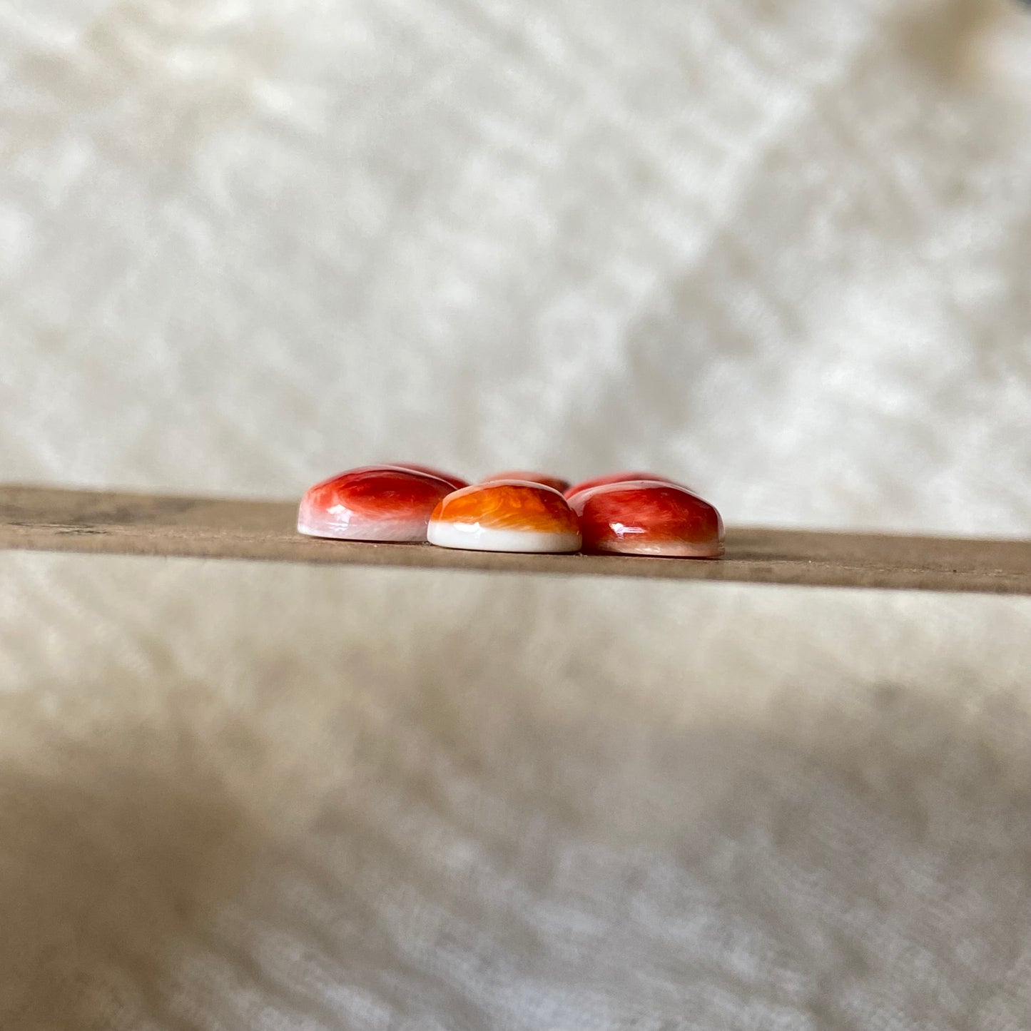 Oystershell Cabochon - OS26 CFC97099-2759-4FA3-89D6-FD83FFA0FC42 Brandedandwild.com