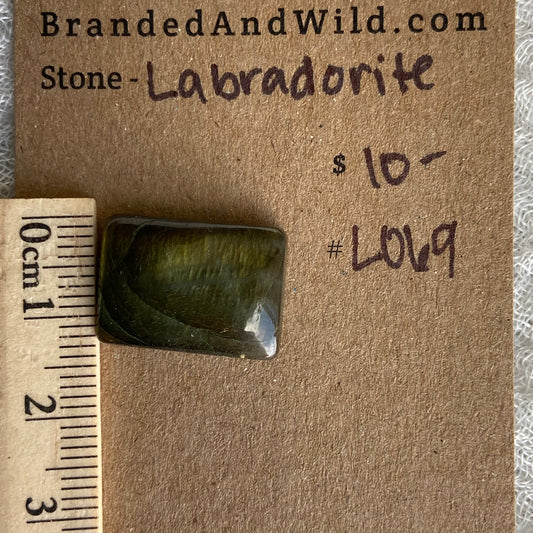 Labradorite Cabochon - L069