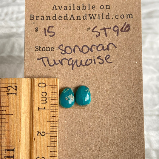 Sonoran Turquoise Cabochon - ST96 CFDE1C06-EA29-4B11-A0D2-0192E2513BF2 Brandedandwild.com