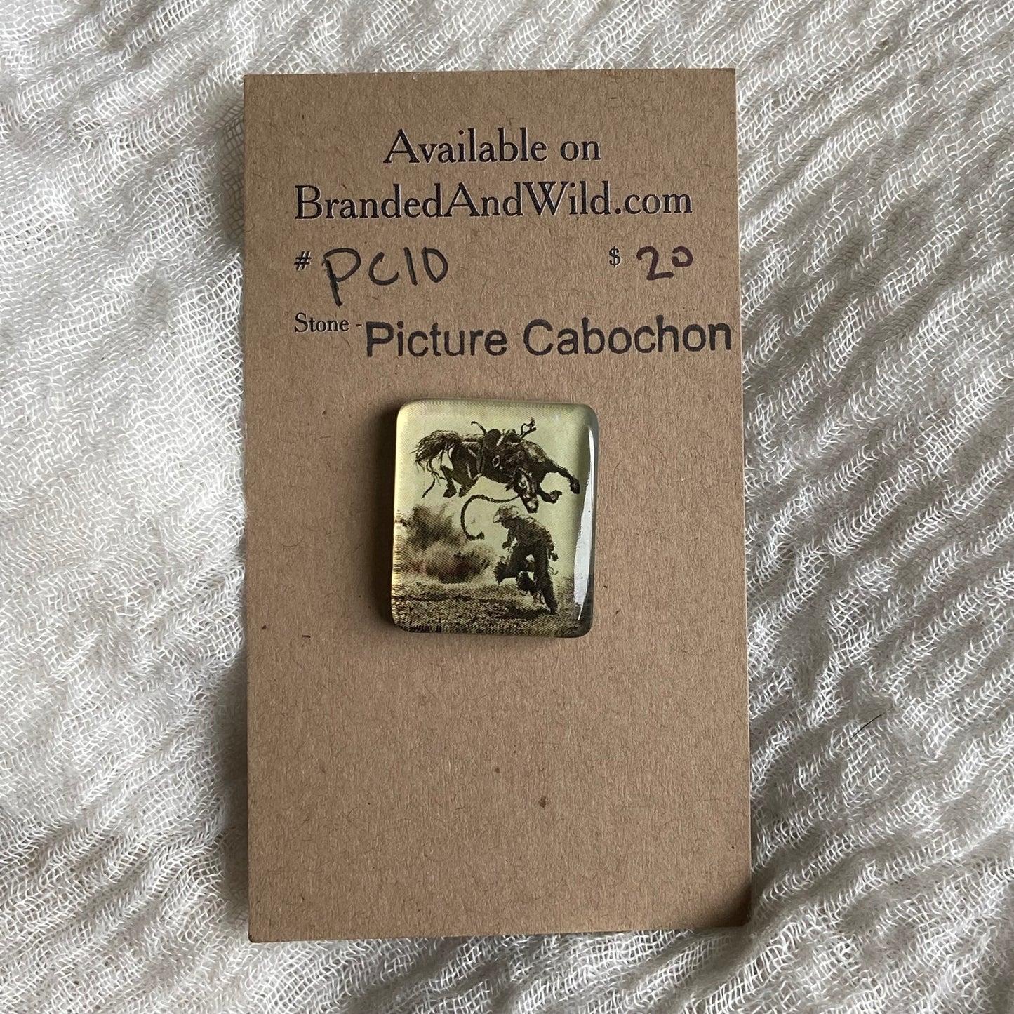 Picture Cabochon - Cabochon - PC10 CFDE7CF1-5534-4379-9183-6E23B698C770 Brandedandwild.com