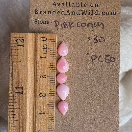 Pink Conch Cabochon - PC50