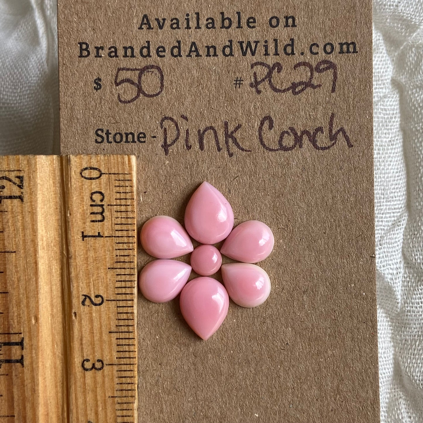 Pink Conch Cabochon - PC29 D01CE9D4-B64C-422F-BAE8-DFF0C92ACC59 Brandedandwild.com
