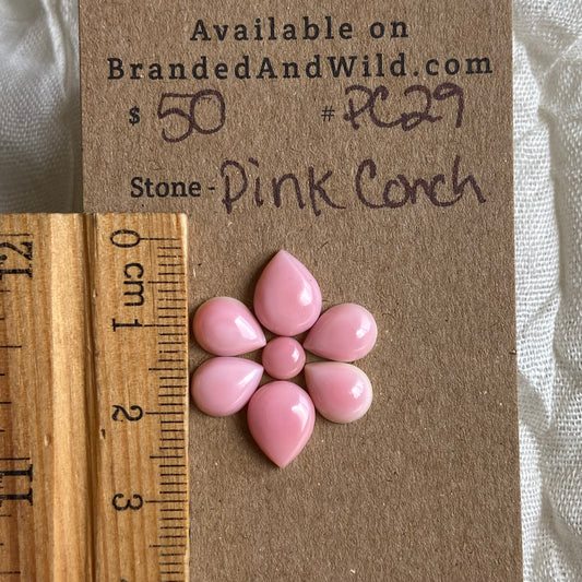 Pink Conch Cabochon - PC29 D01CE9D4-B64C-422F-BAE8-DFF0C92ACC59 Brandedandwild.com