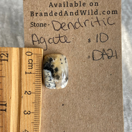 Dendritic Agate Cabochon - DA21