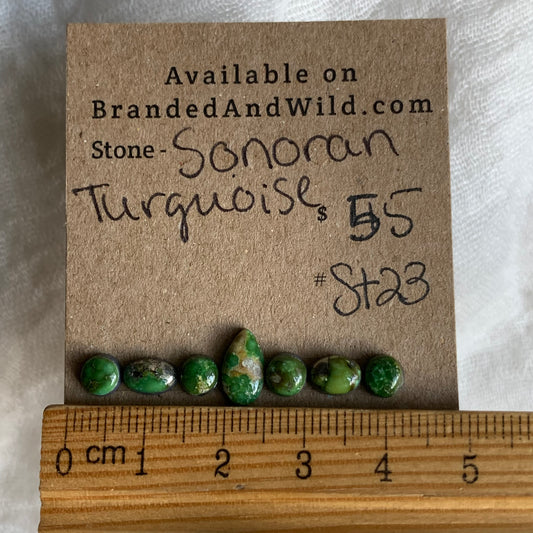 Sonoran Turquoise Cabochon - ST23