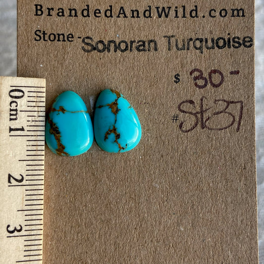 Sonoran Turquoise Cabochon - ST37