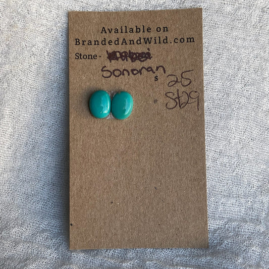 Sonoran Turquoise Cabochon - ST29