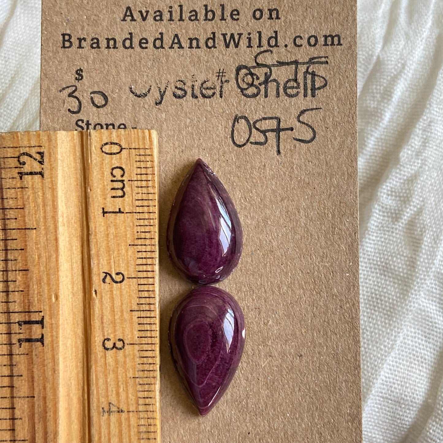 Oyster Shell Cabochon - OS75