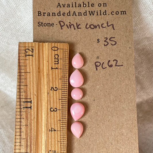 Pink Conch Cabochon - PC62