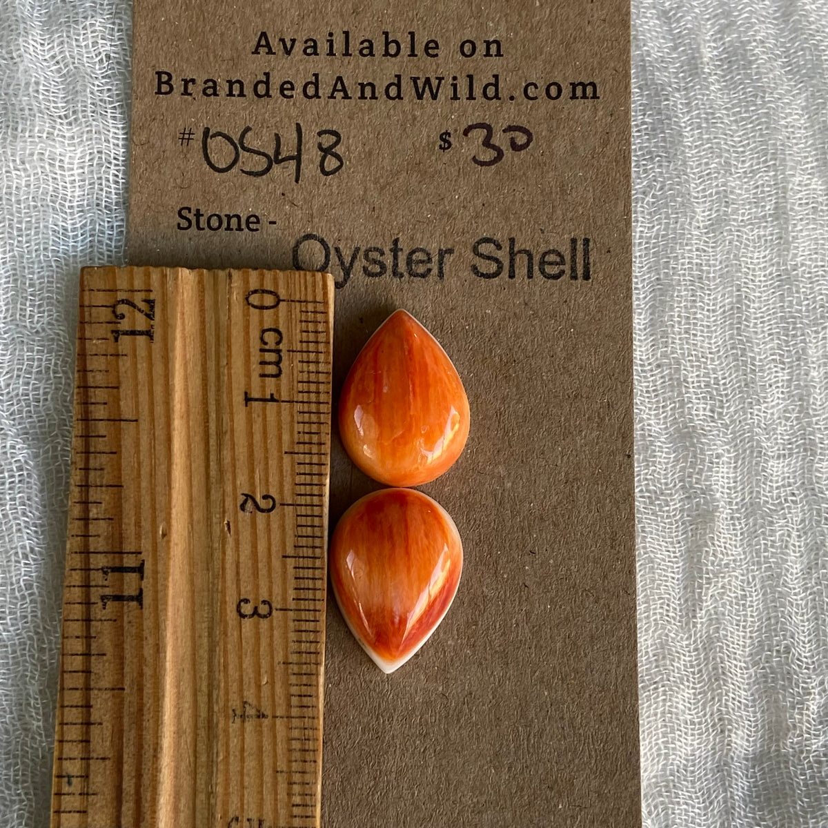 Oyster Shell Cabochon - OS48