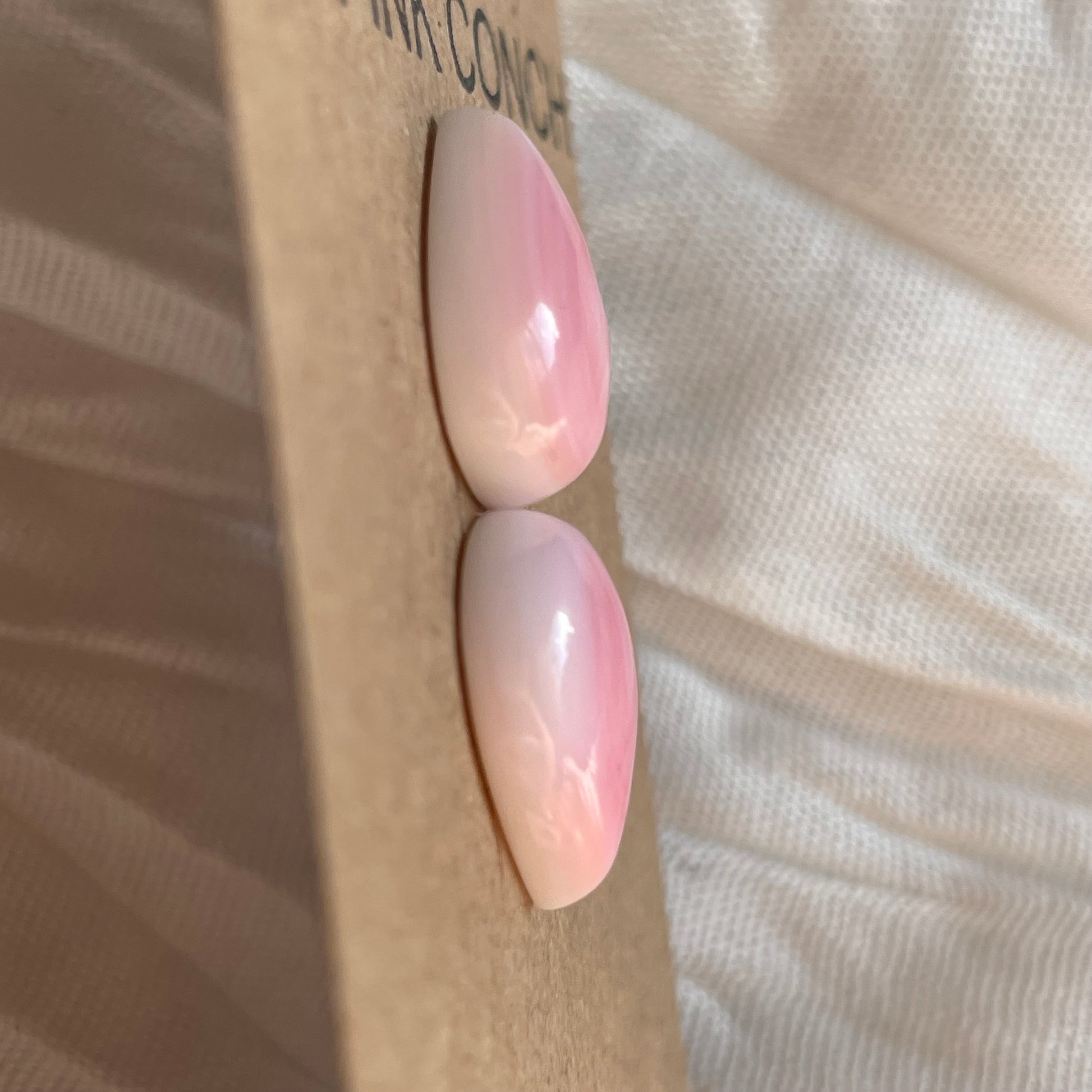 Pink Conch Cabochon - PC54 D0C1856B-7130-41EA-9619-F851696B636F Brandedandwild.com