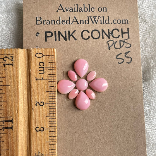 Pink Conch Cabochon - PC05 D0DCAA9E-FFD7-4CD9-BF1B-A3515E52E240 Brandedandwild.com