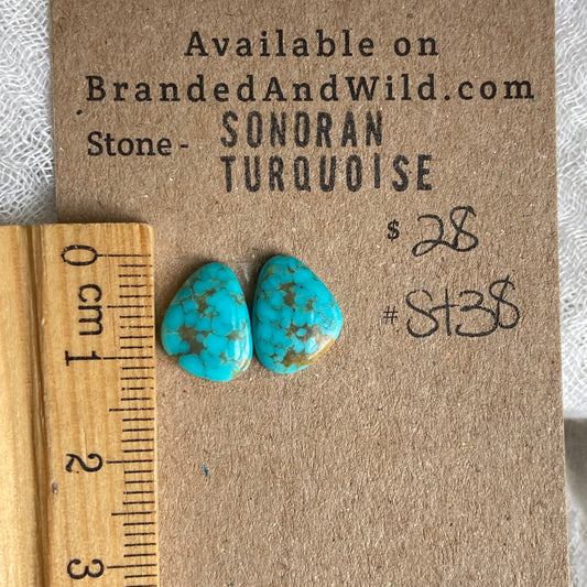 Sonoran Turquoise Cabochon - ST38