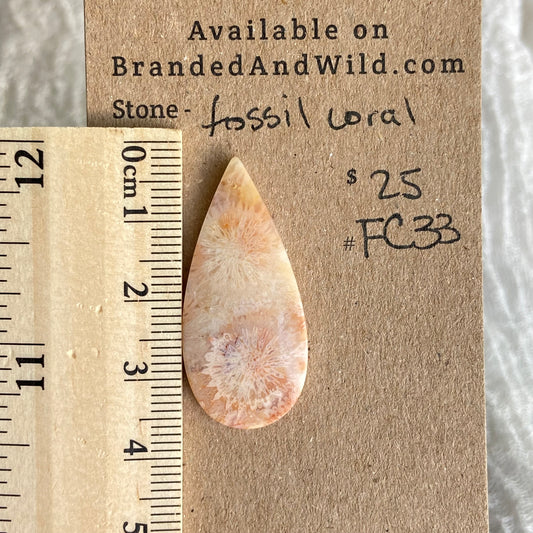 Fossil Coral Cabochon - FC33