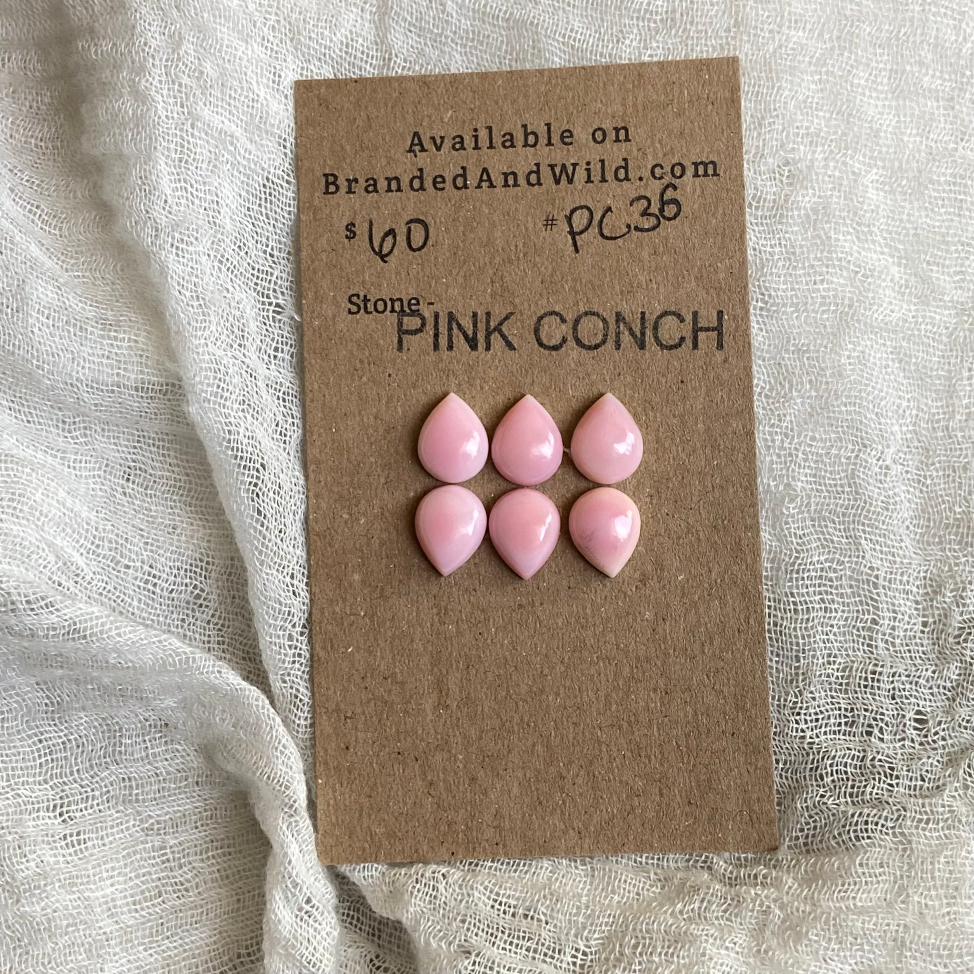 Pink Conch Cabochon - PC36 D16A1E96-74B8-44E6-9C45-E74C194AD459 Brandedandwild.com