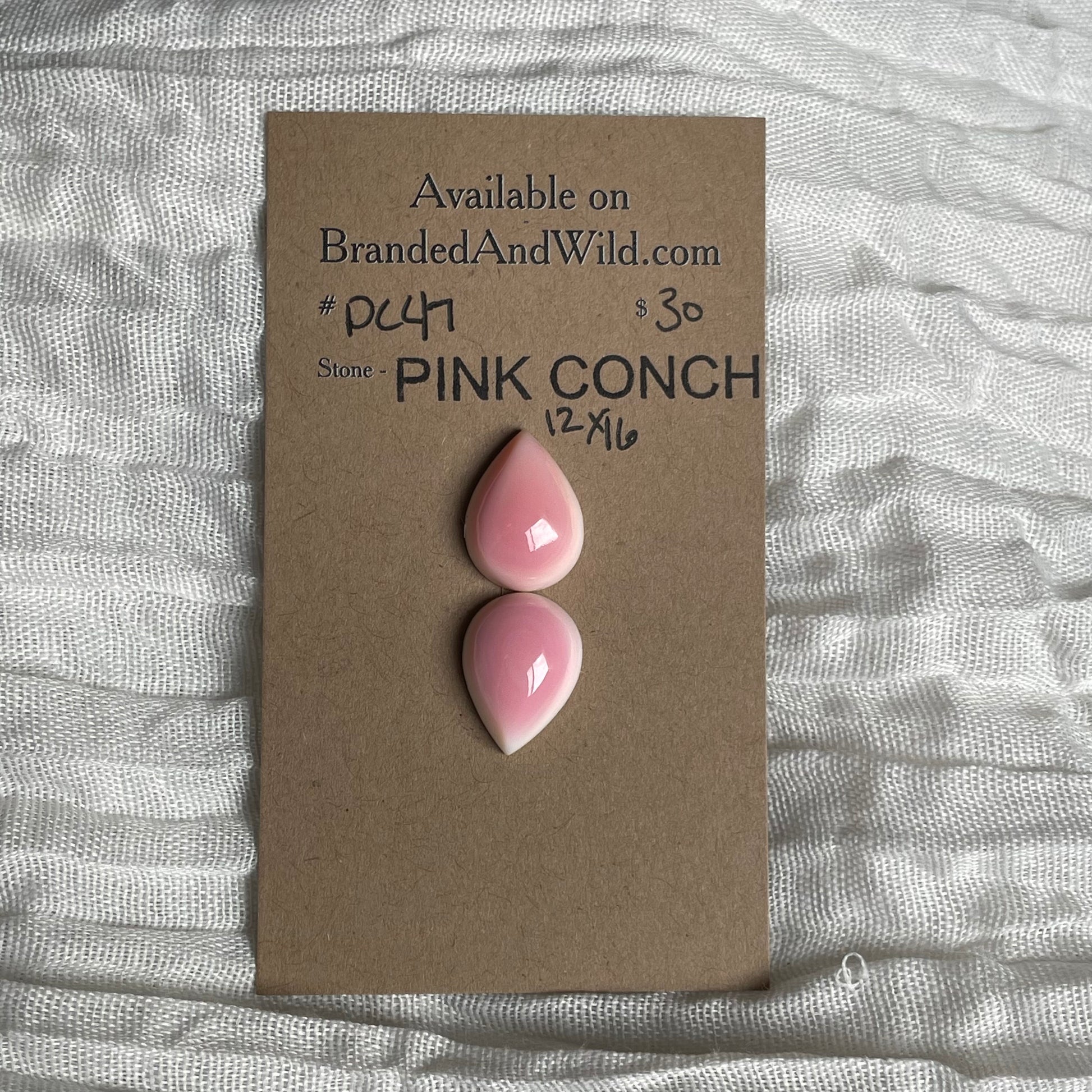 Pink Conch Cabochon - PC47 D17B7408-BF08-4C0D-AFF4-4BA5F21CDC1A Brandedandwild.com