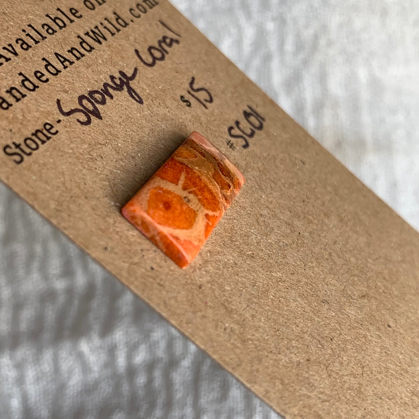 Sponge Coral Cabochon - SC01