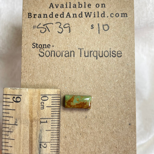Sonoran Turquoise Cabochon - ST39 D19CEFEB-582E-408B-9E90-8056CA42AA12 Brandedandwild.com
