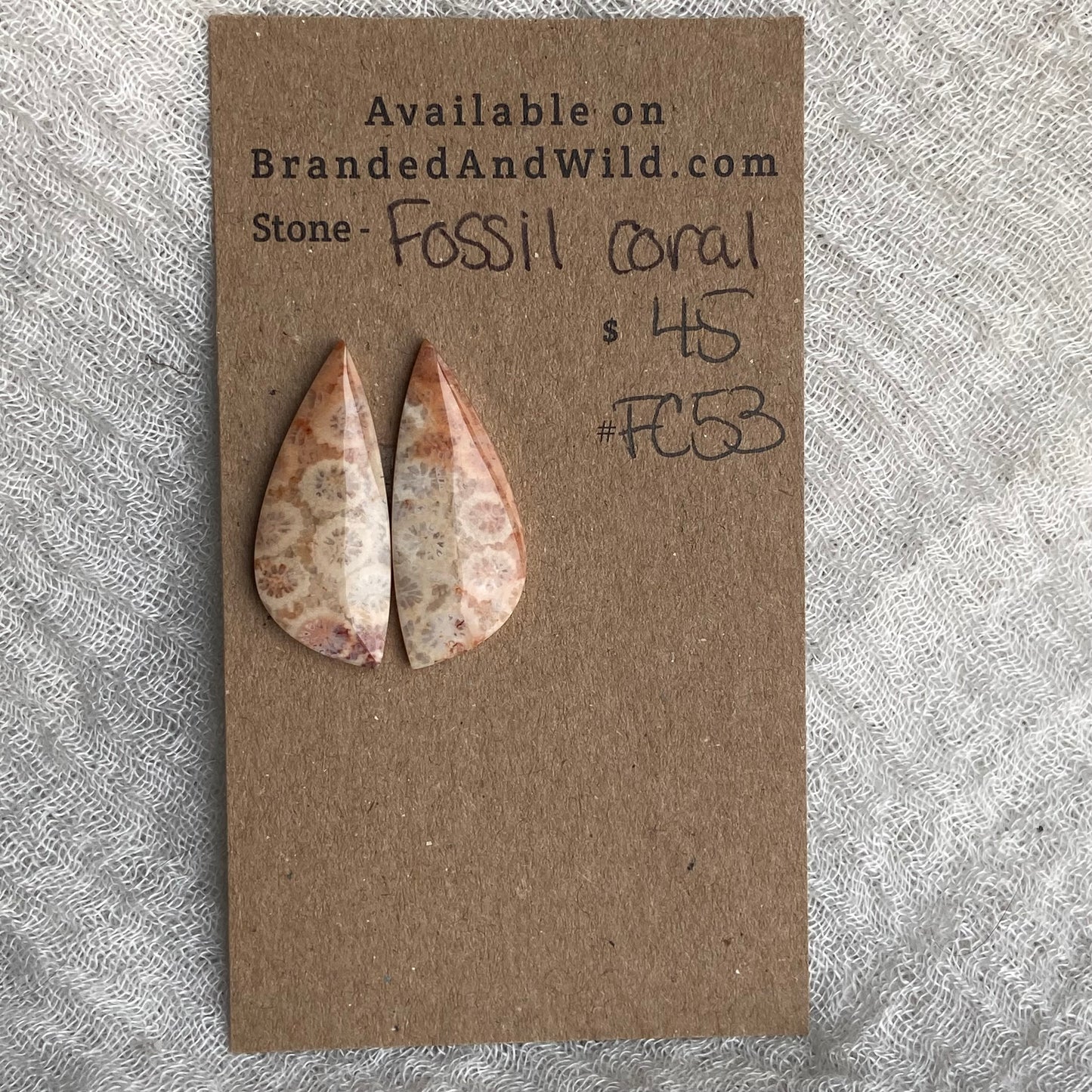 Fossil Coral Cabochon - FC53