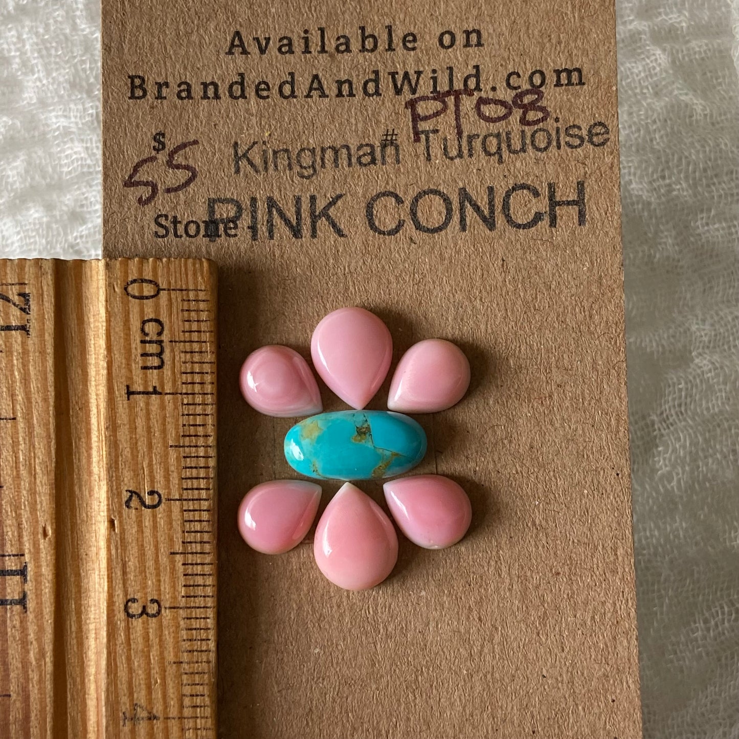 Pink Conch / Kingman Turquoise Cabochon - PT08