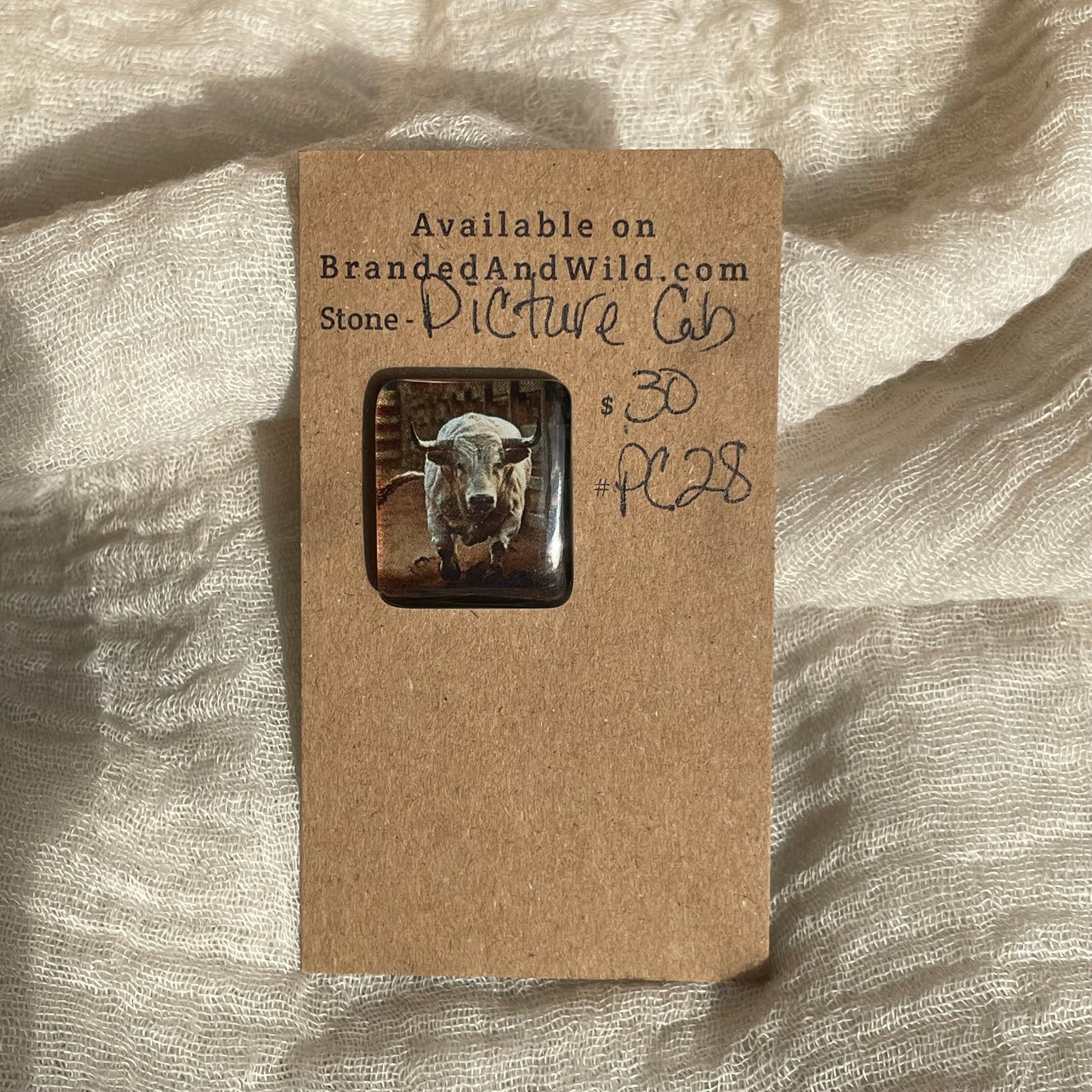 Picture Cabochon - Cabochon - PC28 D1A94C10-4006-4652-AA4D-2A03DAF3E078 Brandedandwild.com