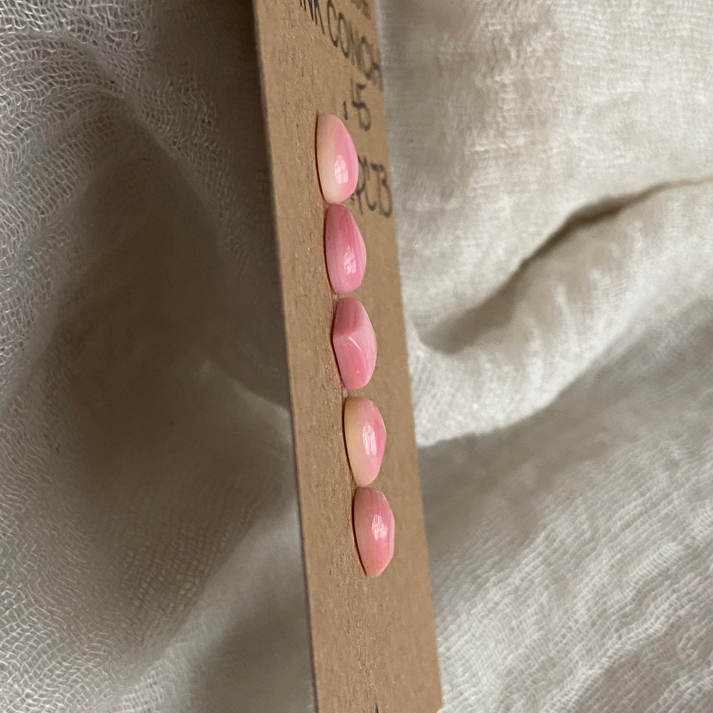 Pink Conch Cabochon - PC73