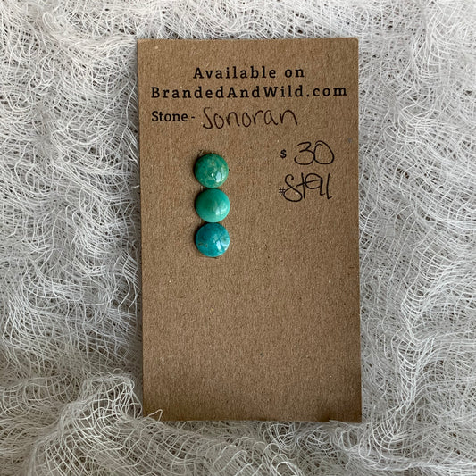 Sonoran Turquoise Cabochon - ST91